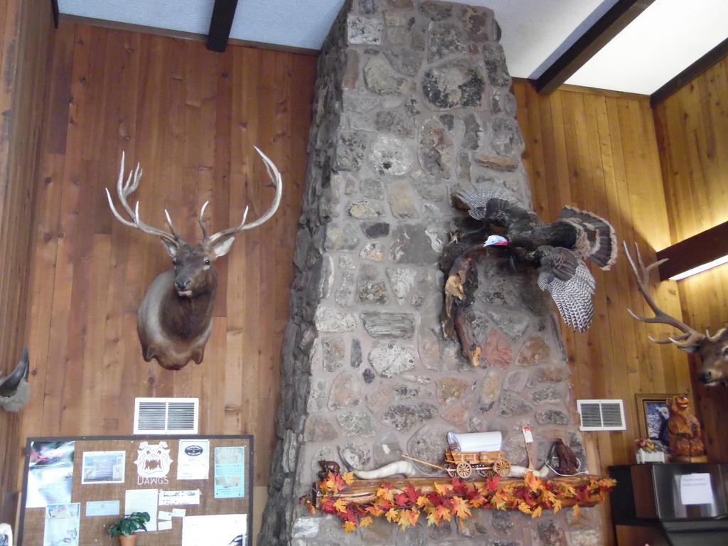 Bear Lodge Motel Sundance Exterior foto